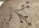 Antique German Executioners Axe 17th century