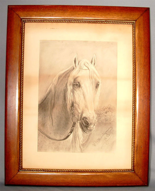 Charcoal Drawing Head of Arab Horse Stallion by Montgomery