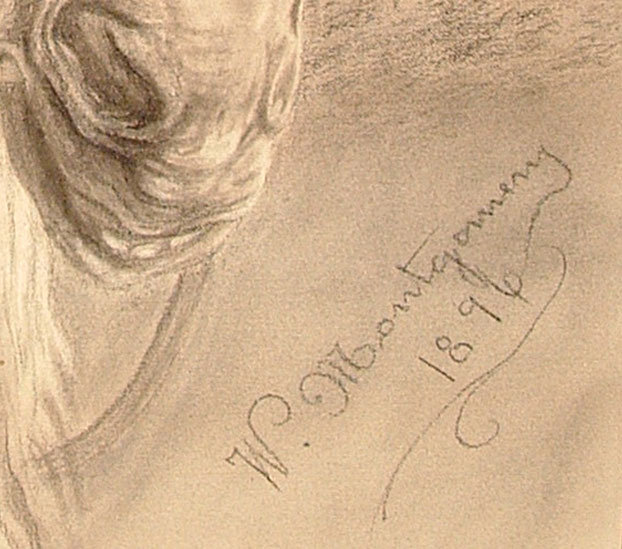 Charcoal Drawing Head of Arab Horse Stallion by Montgomery