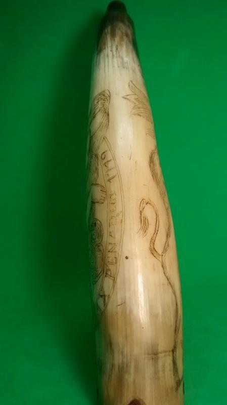 American Revolutionary Powder Horn with Scrimshaw