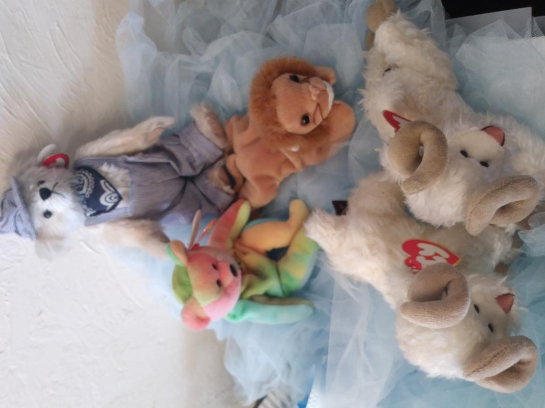 Beanie Babies