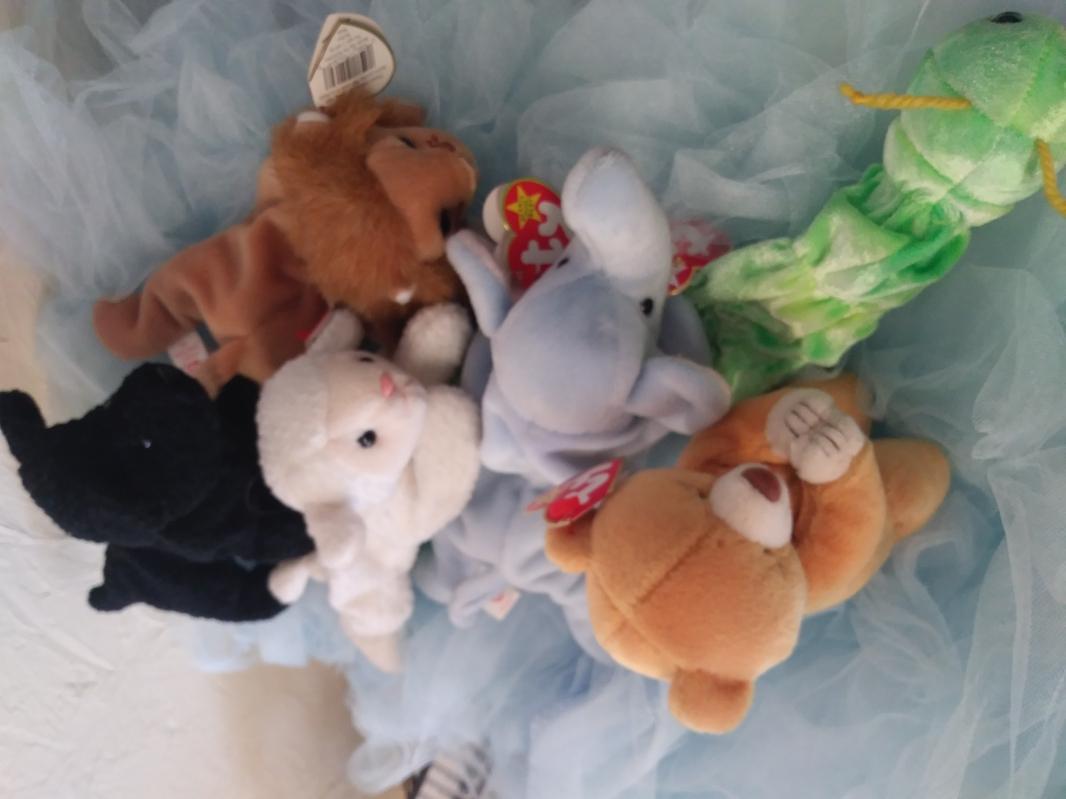 Beanie Babies