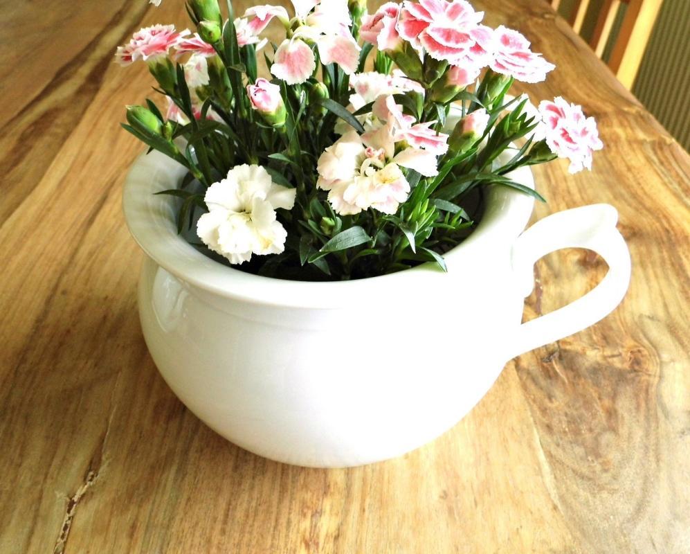 Antique Chamber Pot Porcelain Vintage H&C Bohemia Czech White Flower Pot Handle Planter French Farmhouse Shabby Cottage Decor Vase Ironstone