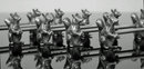 WMF Art Nouveau Squirrel Knife Rests, Germany C.1900