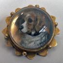 Spaniel Dog Reverse Intaglio Crystal Brooch