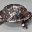 Rare Tortoise Turtle Bell Chester 1912