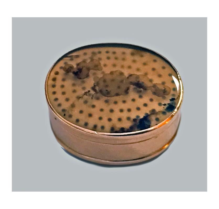 Georgian Gold and moss agate Vinaigrette, C.1800