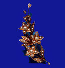 Antique Gold Pearl Flower Brooch,18K C.1890.