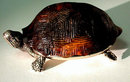 Rare Antique Silver Vesta, London 1881, Thomas Johnson 11