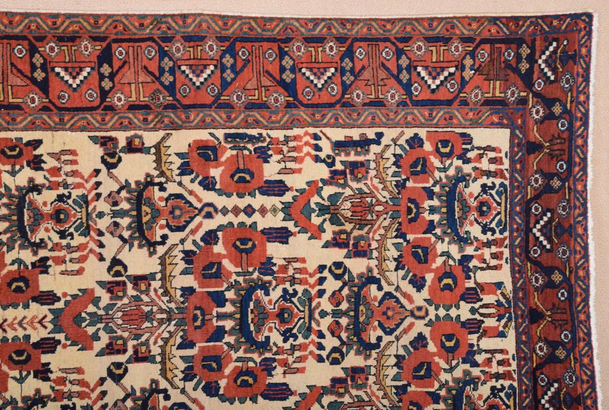 Avshar Rug