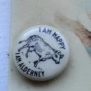 ALDERNEY CELLULOID ADVERTISING BLOTTER-GRAPHIC WITH COW AND PIGS