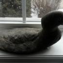 OLD CANVAS DUCK DECOY