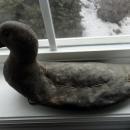 OLD CANVAS DUCK DECOY