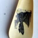 CELLULOID SHOE HORN - J & T COUSINS, PHILADELPHIA
