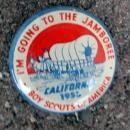 BOY SCOUS OF AMERICAN PINBACK-CALIFORNIA 1953 JAMBOREE