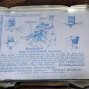 COIL CURLERS COMPACT TIN/CONTENTS-LADY IMAGE