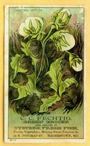 SCARCE OYSTER TRADE CARD-C. C. FECHTIG, HAGERSTOWN, MD