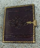 LITTLE GIRL AMBROTYPE IN LEATHERETTE CASE