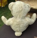 WHITE TEDDY BEAR