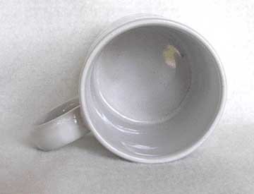 Texas Armadillo with History Coffee Mug