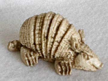 Small Chalk Appearing Armadillo from Mexico
