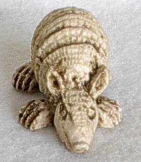 Small Chalk Appearing Armadillo from Mexico