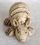 Small Chalk Appearing Armadillo from Mexico
