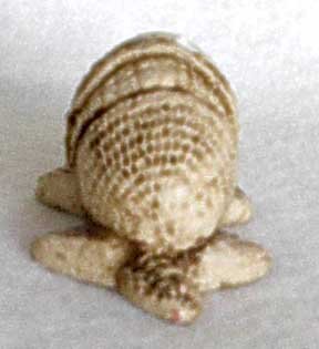 Small Chalk Appearing Armadillo from Mexico