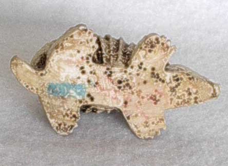 Small Chalk Appearing Armadillo from Mexico