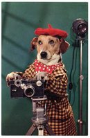 Dressed Dog Photographer with Argus C3 Camera Postcard