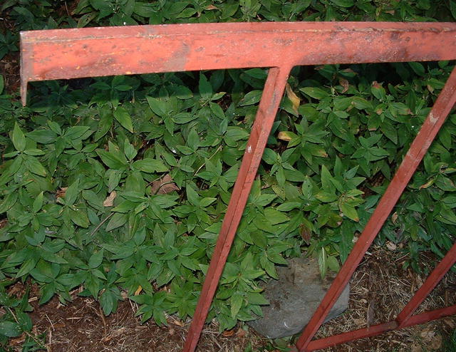 Wrought Iron Fence Six-Foot Sections