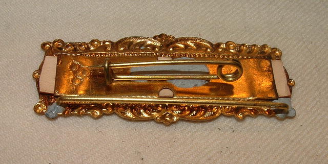 Flint, 1901 Convention Pin