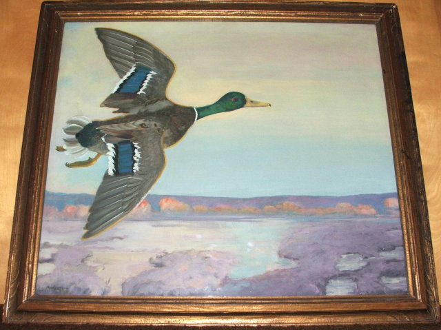 Framed Frank Scott Clark Oil on Canvas of Wild Mallard Duck in Flight