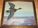 Framed Frank Scott Clark Oil on Canvas of Wild Mallard Duck in Flight
