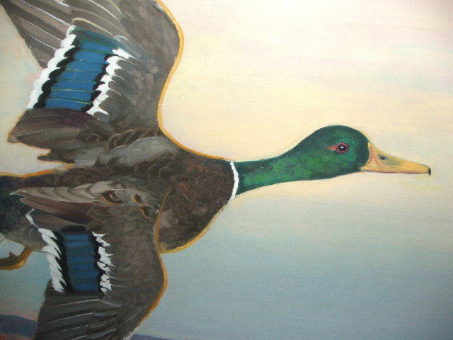 Framed Frank Scott Clark Oil on Canvas of Wild Mallard Duck in Flight