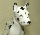 Erphila Germany Porcelain Harlequin Great Dane Figurine