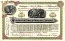Adirondack Timber and Mineral Company 1900 - New York