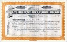 Alturas - Senate Mining Co. 1887 - New York