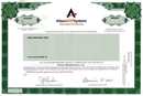 Alteon Web Systems - Web Speed for e-business