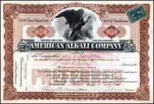 American Alkali Company 1900