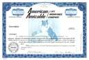American Amicable Life Insurance Company (ALICO)