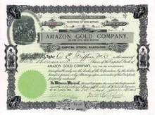 Amazon Gold Company 1905 - Silver City, New Mexico