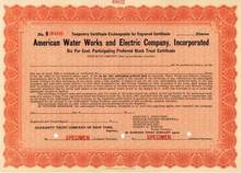 American Water Works and Electric Company, Incorporated