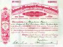 Automatic Photograph (Foreign and Colonial) Company - 1891 England