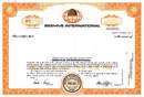 Beehive International