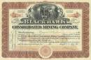 Black Hawk Consolidated Mining Company 1907