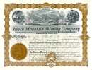 Black Mountain Mining Company - Territory of Arizona 1905