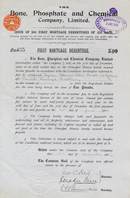 Bone, Phosphate and Chemical Company - England 1902