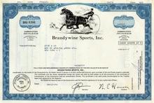 Brandywine Sports, Inc 1970's - Dover Downs - Old Harness Racing Vignette