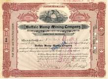 Buffalo Hump Mining Company 1899 - New York